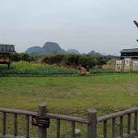 評論圖片 8