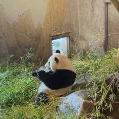 Zoo Aquarium de Madrid