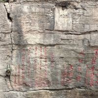 評論圖片 8