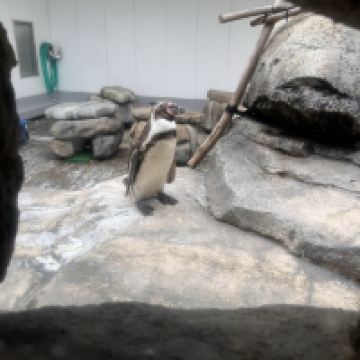 評論圖片 7