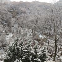 評論圖片 6