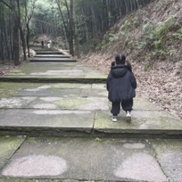 評論圖片 2