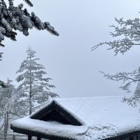 評論圖片 2