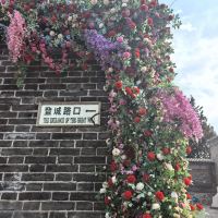 評論圖片 6