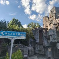 評論圖片 2