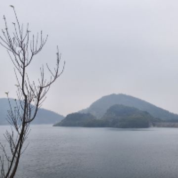 評論圖片 2