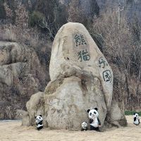 評論圖片 5