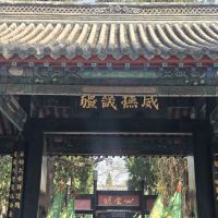 評論圖片 1
