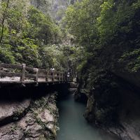 評論圖片 7