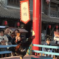 評論圖片 2