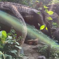 評論圖片 8