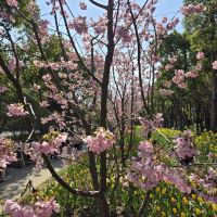 評論圖片 4
