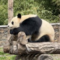 評論圖片 4