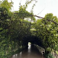 評論圖片 4