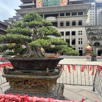 評論圖片 9