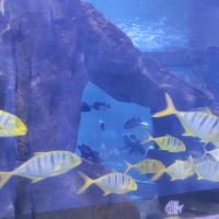評論圖片 5