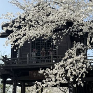 評論圖片 8