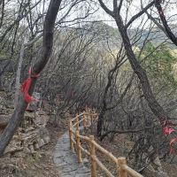評論圖片 1