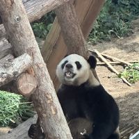 評論圖片 8