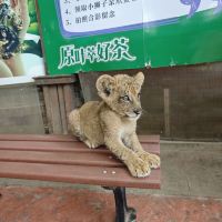 評論圖片 3