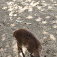 評論圖片 7