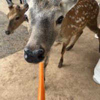 評論圖片 4