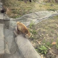 評論圖片 8