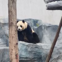 評論圖片 4