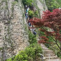 評論圖片 1