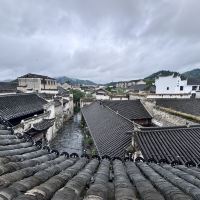 評論圖片 5