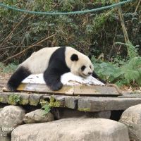 評論圖片 4