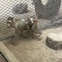 評論圖片 3