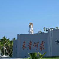 評論圖片 9