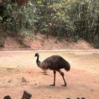 評論圖片 1