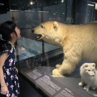 評論圖片 1