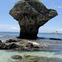 評論圖片 6