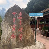 評論圖片 1