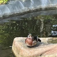 評論圖片 6