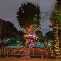 評論圖片 3