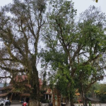 評論圖片 8
