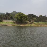 評論圖片 9