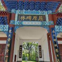 評論圖片 3