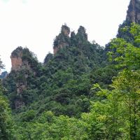 評論圖片 4