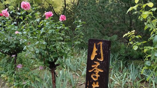 園區太大了，植物種類繁多，印象較深的海棠樹，梨樹，柿子樹，果