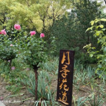 評論圖片 1