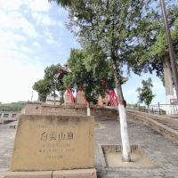評論圖片 6