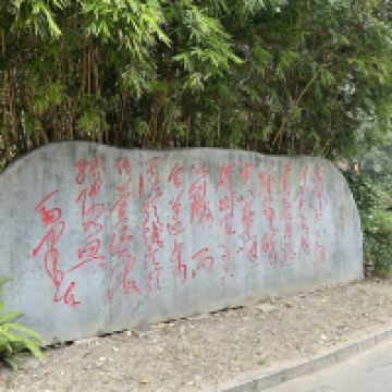 評論圖片 3