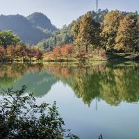 評論圖片 4