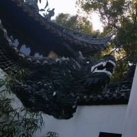 評論圖片 4