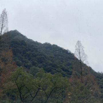 評論圖片 9